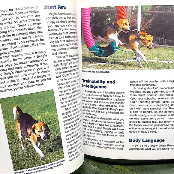 Beagle Books Dogs Educational Academia All Ages Set of Two - Picture 11 of 16